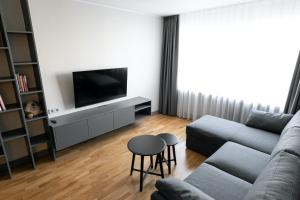 a living room with a couch and a tv at Brand New, Family-friendly with a great location - Moon Apartment in Ventspils