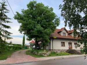 a house with a tree on the side of a road at Agroturystyka u Królów in Nowe Guty