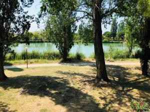 a view of a lake with trees in front of it at Appartement 239 Les Salicornes in Arles