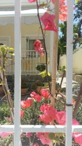 - une fenêtre donnant sur une maison ornée de fleurs roses dans l'établissement NN Deluxe room near Athens airport, à Spáta