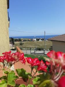 a view of the ocean from a balcony with red flowers at Amour bleu - Синя Лю-Бо-В in Sinemorets