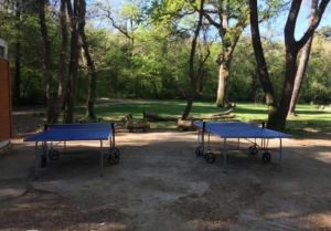 Stolný tenis v ubytovaní Kaiserwald alebo v jeho okolí