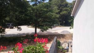 Vonkajšia záhrada v ubytovaní Kaiserwald