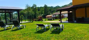 a group of lawn chairs sitting in the grass at Apartamentos El Castañeu in Corao