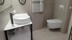 A bathroom at Apartaments y Habitacions Entre Volcans
