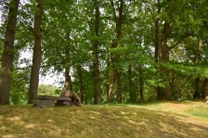 a bench sitting on a hill in a park with trees at Heidepark Veluwschkarakter in Vierhouten