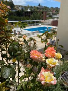 grupa kwiatów przed basenem w obiekcie Rose Pension w mieście Patara