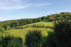 a green hill with trees and a field of grass at Moderne Ferienwohnung mit privatem Eingang - ROSA in Kalletal