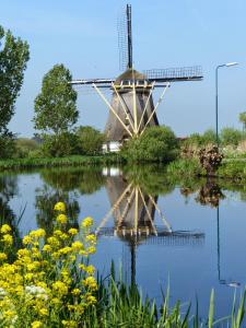 un molino de viento reflejado en un estanque con flores amarillas en Mondriaanmolen, a real Windmill close to Amsterdam, en Abcoude