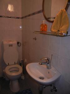 Koupelna v ubytování Apartments & Rooms Stare + 37 fotografií