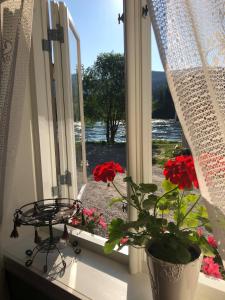 ein Fenster mit roten Blumen und einer Pflanze auf einem Fensterbrett in der Unterkunft Bakarstuo, Utpå Neset in Trofors