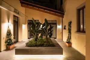 a courtyard with a plant in the middle of a building at Corte Guelfa in Florence