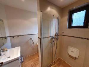 een badkamer met een douche en een wastafel bij Haus Monika in Zeltingen-Rachtig