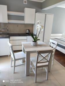 a kitchen with a table and chairs with a vase of flowers at Apartamenty i Pokoje Biala Hortensja in Ustronie Morskie