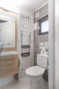 a small bathroom with a toilet and a sink at Silver House vendégház in Orosháza