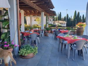 een restaurant met tafels en stoelen en een hond op een terras bij La Villa in Marsiliana