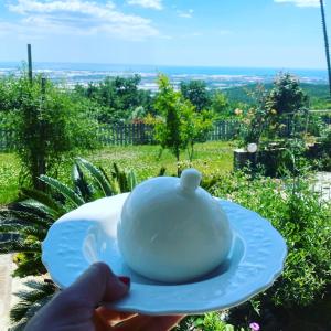 uma pessoa segurando um bule de chá em um prato azul em Villa panorama em Montecorvino Pugliano