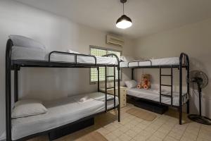 Postel nebo postele na pokoji v ubytování White Hostel