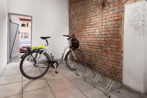 Jazda na bicykli v okolí ubytovania Mieszkanie w Kamienicy