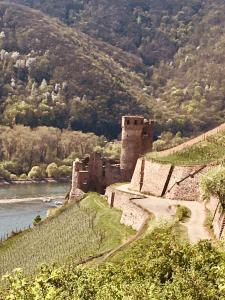 an old castle on a hill next to a river at Berg´s Backpacker in Rüdesheim am Rhein