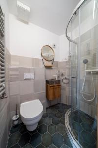 W łazience znajduje się toaleta i przeszklony prysznic. w obiekcie Duett - Urban Rooms w Győr +20 zdjęć