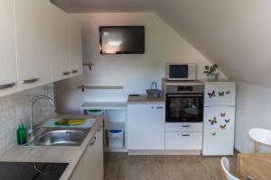 Η κουζίνα ή μικρή κουζίνα στο Apartments Olip