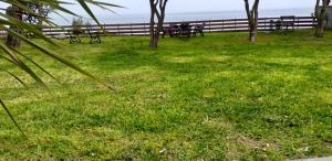 un champ d'herbe verte avec bancs et arbres dans l'établissement Villa Alexander Beach, à PalaiónTsiflíkion