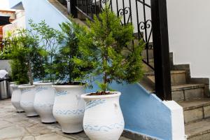 Zahrada ubytování Glaros Blue