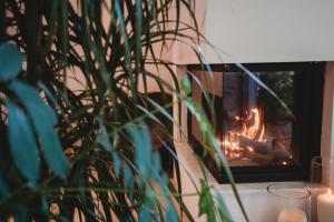 a fire in a fireplace with a plant in front of it at Hani Chrysomilou in Kalopanayiotis