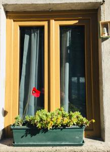 a window with a flower pot with a red flag in it at Ca Bossa Molina in Faggeto Lario 