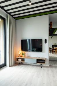 Televízia a/alebo spoločenská miestnosť v ubytovaní Flora Apartment Deluxe - Hav Aparts (Botanica)