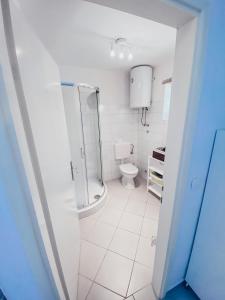 Koupelna v ubytování Apartment Estera