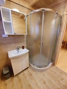 a bathroom with a shower and a sink at ATJ Bursztynowy Zakątek in Kąty Rybackie