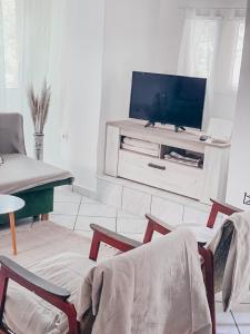 TV a/nebo společenská místnost v ubytování Apartment Estera