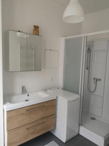 La salle de bains blanche est pourvue d'un lavabo et d'une douche. dans l'établissement La Savane du Donjon, à Rouen