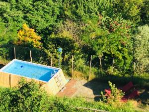 uma piscina no meio de um quintal em B&B Al Giardino Dei Mandorli em Prasco