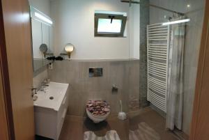 a bathroom with a sink and a toilet and a shower at Cazare Casa Sandra in Băile Herculane +40 photos