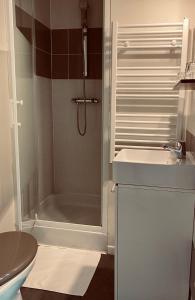 a bathroom with a shower and a sink and a toilet at Le Cheval Blanc in Jargeau