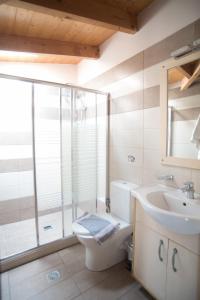 a bathroom with a toilet and a sink and a shower at Studios Artemis in Lefkada Town