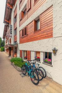Jízda na kole v ubytování Hotel Mirabeau nebo okolí