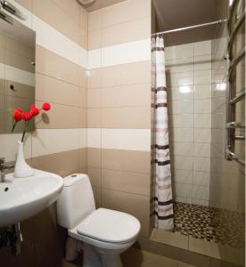 ein Bad mit einem WC, einem Waschbecken und einer Dusche in der Unterkunft Апартаменти з сучасним ремонтом в центрі (площа Митна) in Lwiw