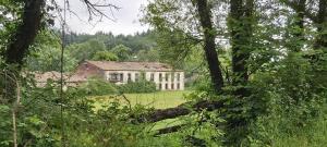 Gallery image of La Casa de Su in Baños de Montemayor