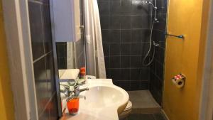 a bathroom with a toilet and a sink and a shower at Domaine De Titine in Bonneville