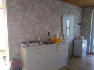 a kitchen with a sink and a white refrigerator at Berneński Zakątek in Charzykowy +8 photos