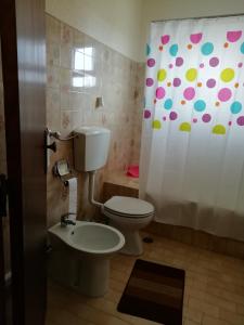 a bathroom with a toilet and a shower curtain at Vivenda Palheiras in Roncão