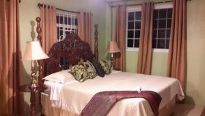 a bedroom with a bed and two windows at Lorenton Hideaway in Lucea