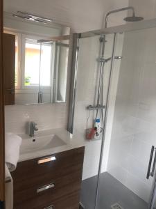 a bathroom with a shower and a sink at Apartamento Adelina in Silleda
