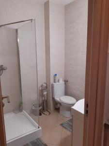a bathroom with a shower and a toilet and a sink at Mira apartman Queen lakosztály in Debrecen