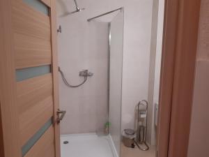 a bathroom with a shower and a toilet at Mira apartman Queen lakosztály in Debrecen +5 photos