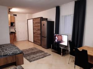 Televízia a/alebo spoločenská miestnosť v ubytovaní Mira apartman Queen lakosztály